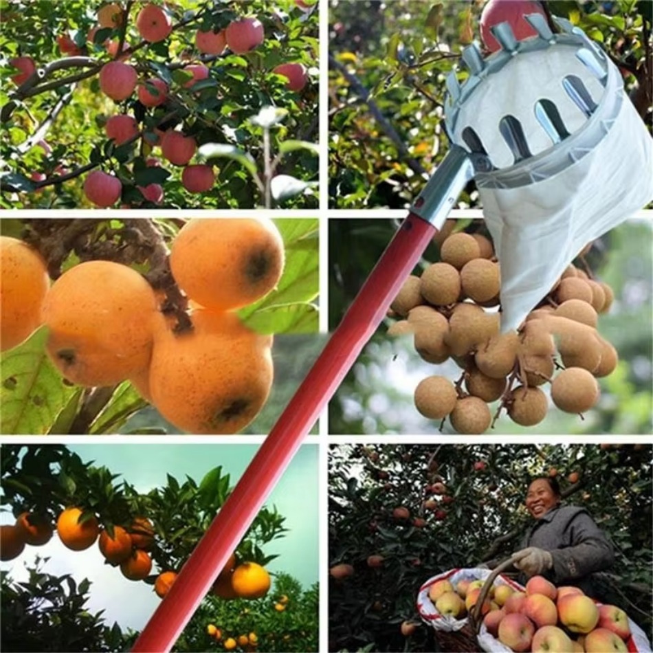 Farming Agriculture Tools - Mehrzweck-Obstpflücker aus teleskopischem verzinktem Eisen für