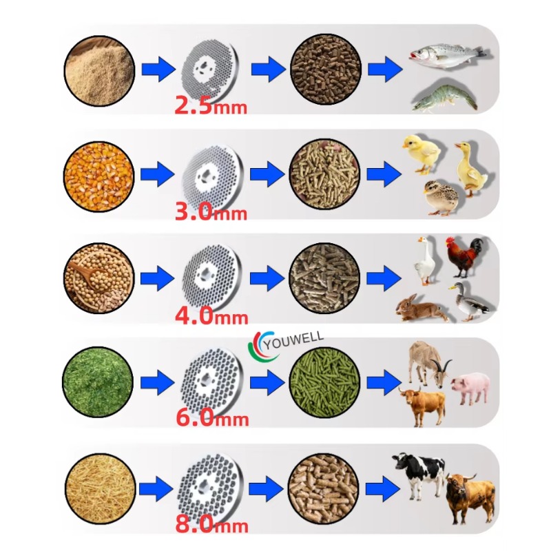 Farming Is Part Of Agriculture - Langlebige Futterpelletmaschinen-Mahlscheibe - Essentielles Ersatzteil für