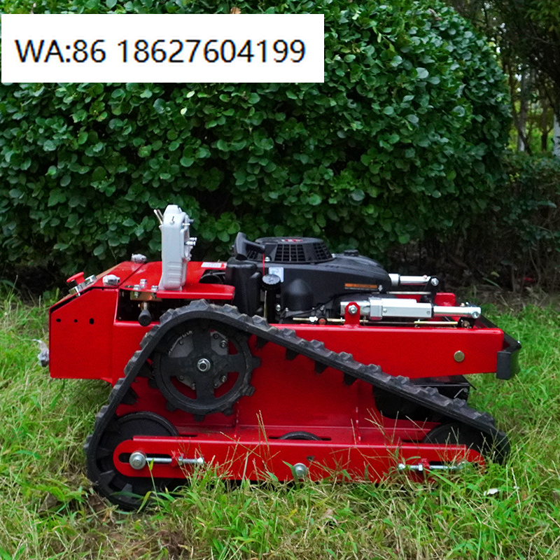Agriculture Farming Robot - CE/ Selbstfahrender Rasenmäher AWY 550L Automatischer