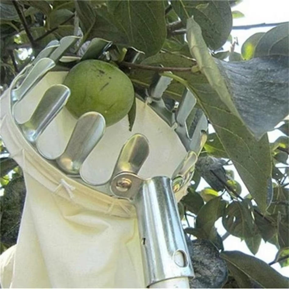 Mehrzweck-Obstpflücker aus tel – Farming Agriculture Tools Bewertung und Preis