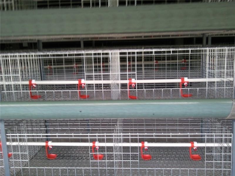Günstige Vogelkäfige für Landw – Agriculture.Farming Design Bewertung und Preis