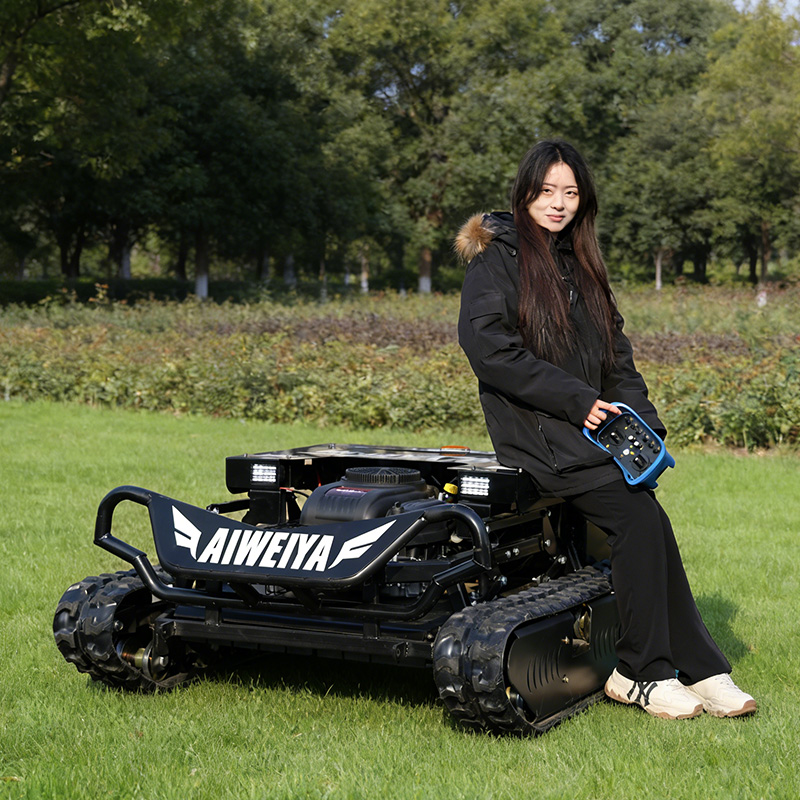 Kundenspezifischer neuer intel – Agriculture Farming Robot Bewertung und Preis