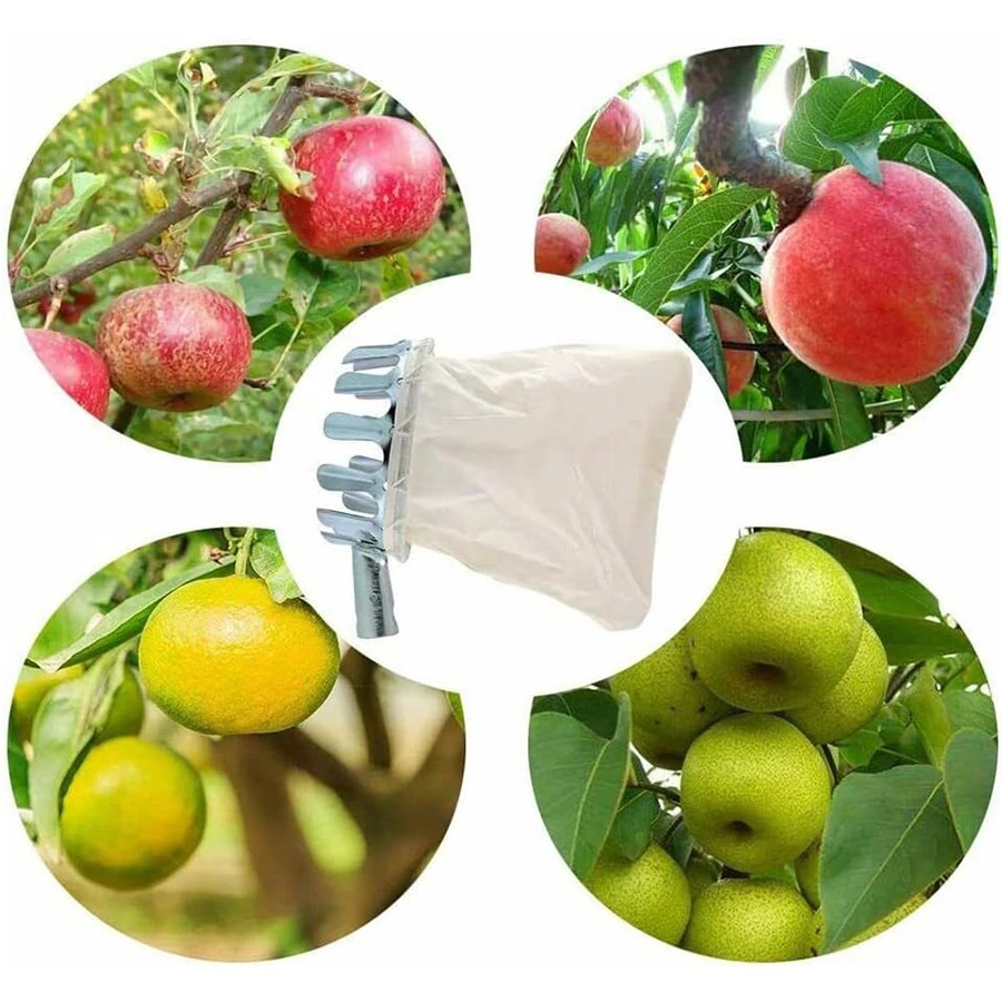 Professionelles Beerenpflückwe – Farming Farmer Bewertung und Preis
